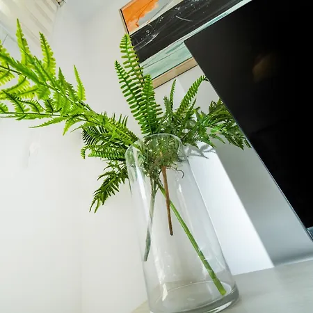 1 Bedroom Flat Next To *