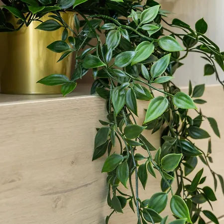 Apartament 1 Bedroom Flat Next To *