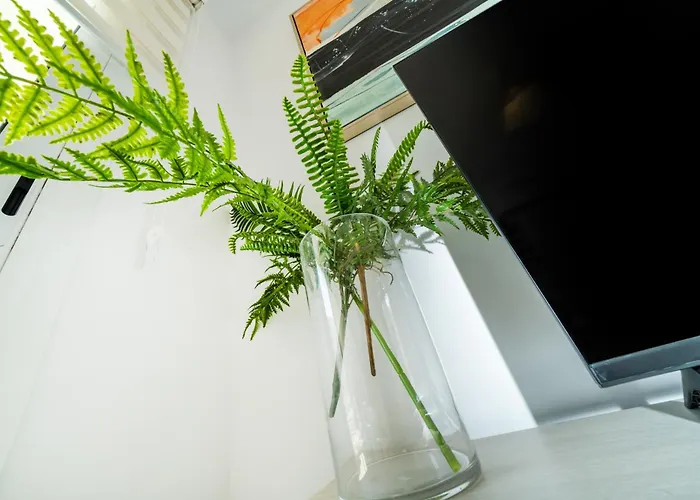 1 Bedroom Flat Next To *