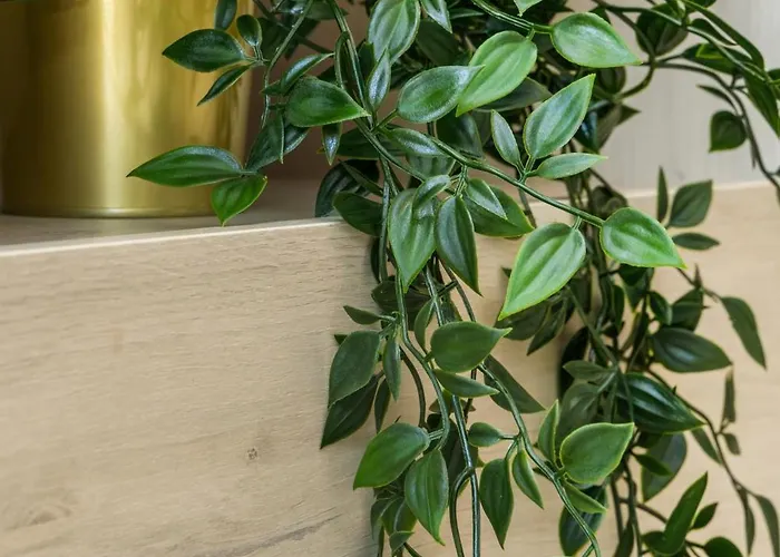 Apartman 1 Bedroom Flat Next To *